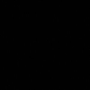 Meet your Posher, Efreim